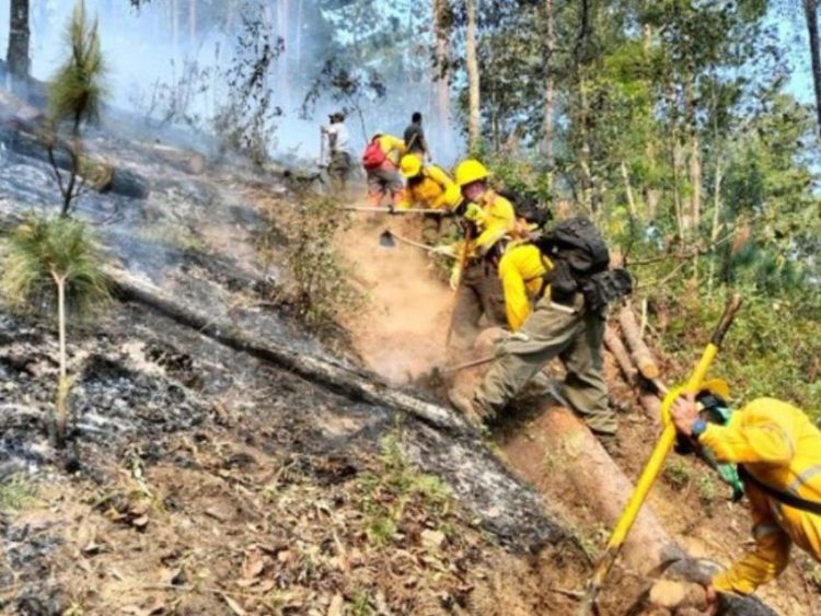 Hay 116 incendios activos en el país; López Obrador confirma 4 muertos