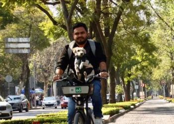 En 2024 hubo más 22 millones de viajes de Ecobici