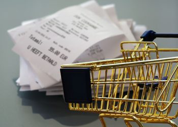 Salario mínimo y canasta básica ¿Son lo mismo o cuál es la diferencia?