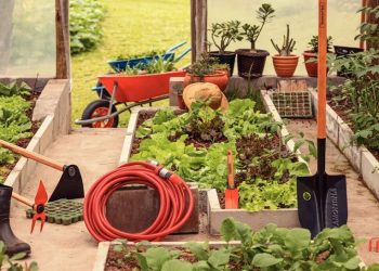 Tramontina se adapta a nuevas tendencias globales de consumo