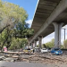 Caída de árbol por vientos fuertes afecta tránsito en Periférico Sur
