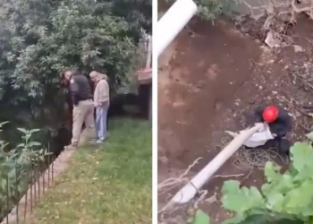 Policías salvan a dos cachorros de una barranca en Álvaro Obregón