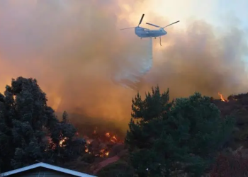 Políticos a cargo de incendios en Los Ángeles son incompetentes: Trump