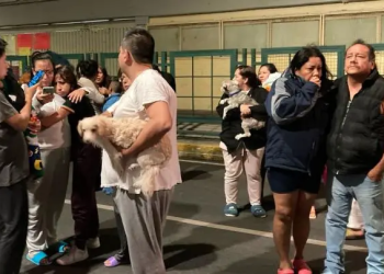 Van 311 réplicas del sismo con epicentro en Coalcomán, Michoacán