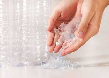 Microplásticos: un micromundo digno de estudio