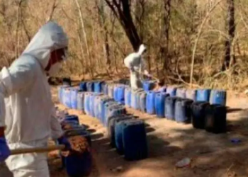Aseguran 12 ‘narcolaboratorios’ en tres municipios de Sinaloa