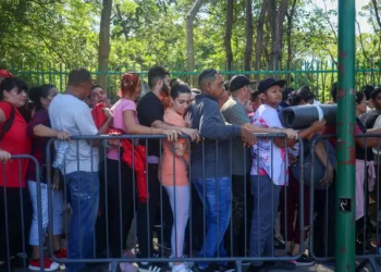 Migrantes ahora son más vulnerables al crimen organizado en el sur de México