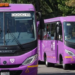 Invertirá Semovi 111 mdp para sustituir microbuses en GAM y Xochimilco