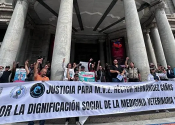 Veterinarios exigen iniciativa para protegerse ante asesinatos; ‘No nos maten’, claman