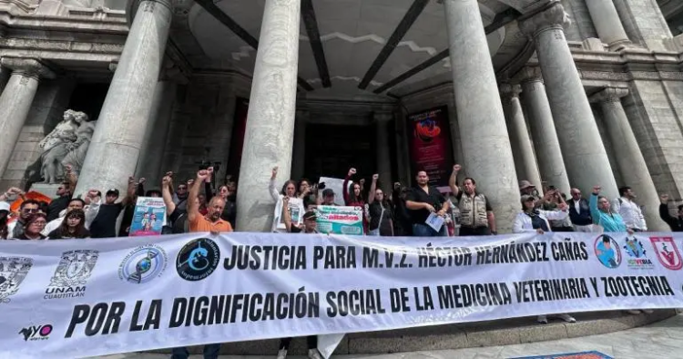 Veterinarios exigen iniciativa para protegerse ante asesinatos; ‘No nos maten’, claman