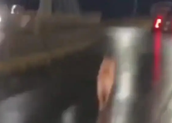 Perrito abandonado corre tras camioneta de sus dueños en Puebla