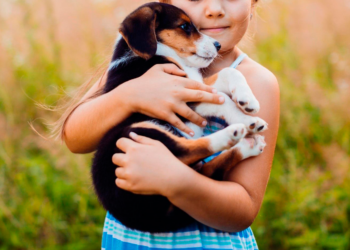 PETCO México llegó a la adopción 100 mil