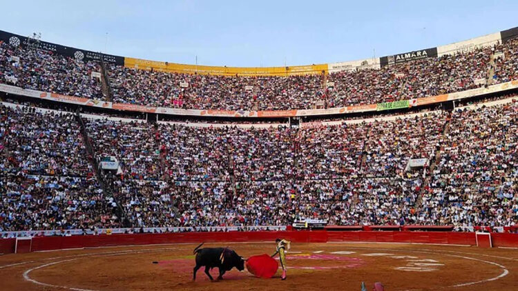 Congreso CDMX aprueba dictamen de corridas de toros sin violencia
