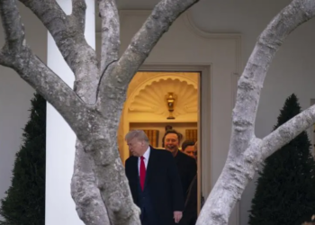 Trump confía en que Putin acepte el acuerdo de alto el fuego en Ucrania