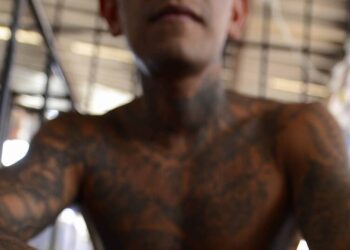 ‘Cacería’ contra cárteles: detienen a líder de la Mara Salvatrucha en EU