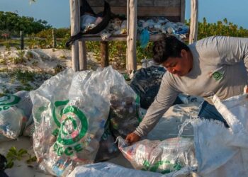 Correcta gestión del plástico es clave para la reducción de emisiones