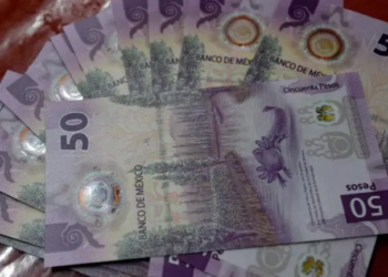 Economía mexicana caería 1.3% en 2025 por los aranceles de EU: OCDE