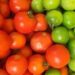 Agricultura aclara que el 20.91% de cuota a tomate no es parte de aranceles de Trump