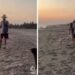 Exhiben a extranjera por agredir a perritos en playa Mazunte, Oaxaca (Video)
