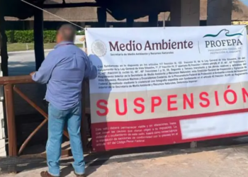 Profepa suspende espectáculos con delfines en el Hotel Barceló Riviera Maya