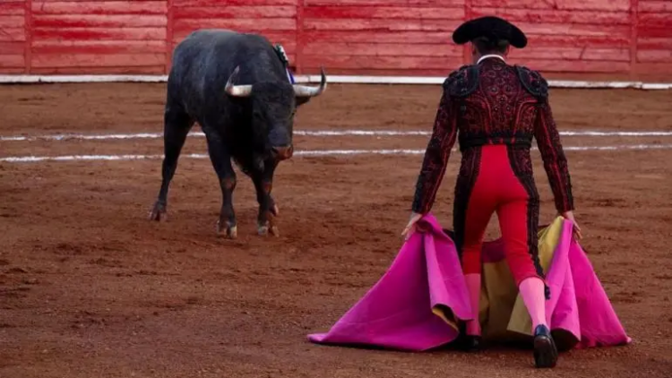Corridas de toros sin sangre en CDMX: Congreso aprobó iniciativa y Brugada lo celebra