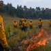 Realizan quema controlada en Edomex previo a temporada de incendios forestales