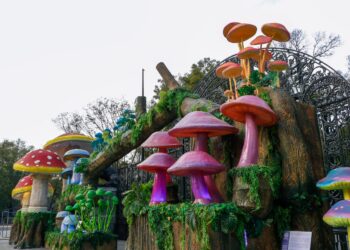 Spora Festival del Bosque de Chapultepec 2025: fechas, sedes y actividades que puedes hacer gratis