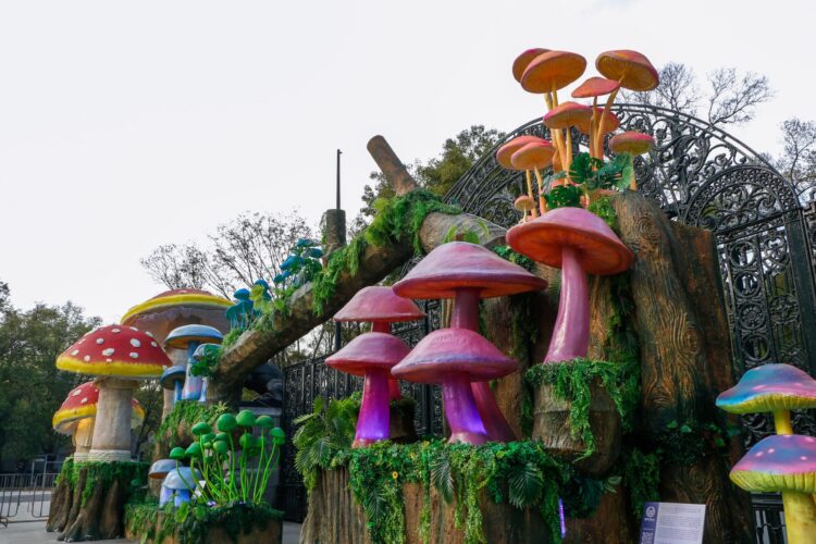 Spora Festival del Bosque de Chapultepec 2025: fechas, sedes y actividades que puedes hacer gratis