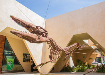 Celebra el Día del Niño en Yucatán: Música, meteoritos y aventuras familiares