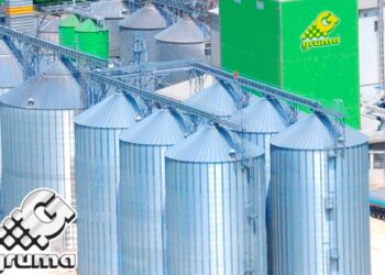 Gruma resilente al entorno global; su EBITDA crece 4% y su utilidad