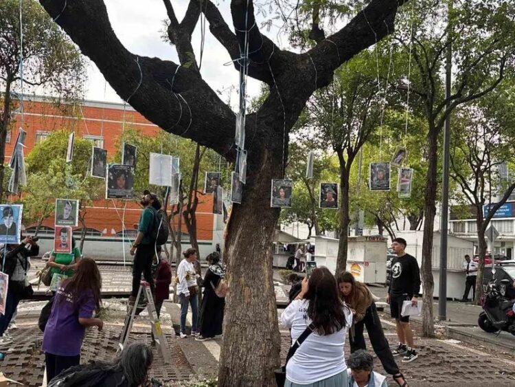 Madres buscadoras instalan El Árbol de la Esperanza en CDMX