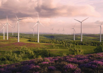 Inteligencia Artificial: el pilar de un sector energético eficiente y predictivo