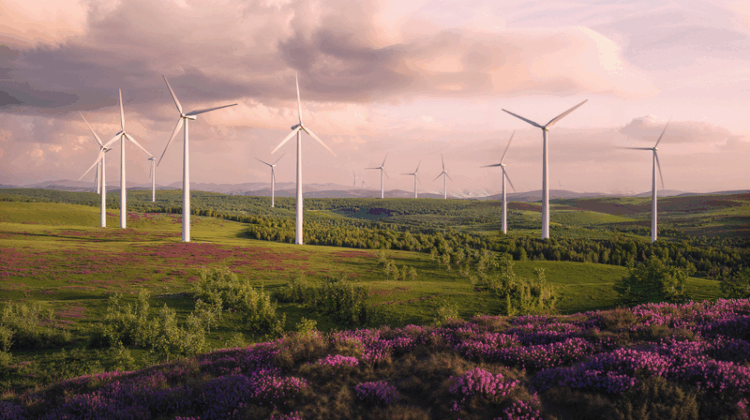 Inteligencia Artificial: el pilar de un sector energético eficiente y predictivo