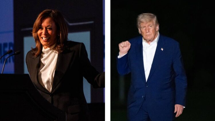 Trump exige una “gran investigación” a artistas que apoyaron a Kamala Harris