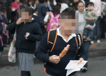 Ssa alerta que el 39% de los niños tiene obesidad y el 38% diabetes