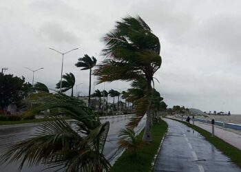 Se forma la tormenta tropical Alvin al sur de México; prevén lluvias intensas y oleaje elevado