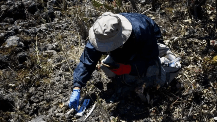 Califica SRE de ‘inaceptable’ el señalamiento de la ONU sobre desapariciones sistemáticas