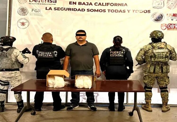 Narcos ocultaron una tonelada de metanfetamina en Baja California