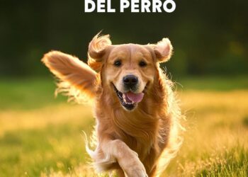 Petco: un llamado a la adopción responsable en México en el Día Mundial del Perro