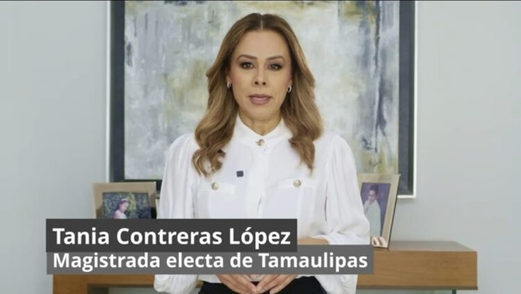 Mauleón no defiende la libertad de expresión. Defiende su derecho a mentir: Tania Contreras