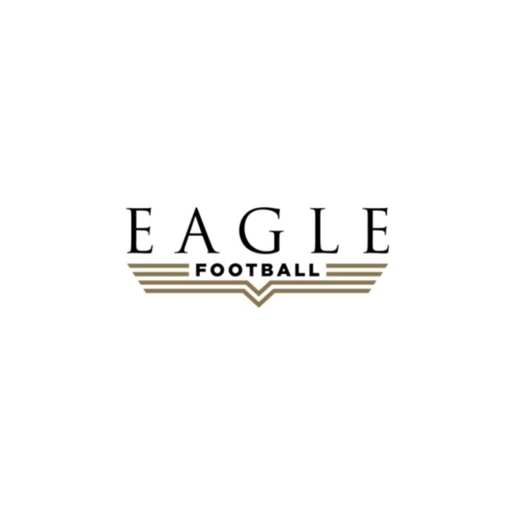 John Textor, Presidente Eagle Football, felicita al Olympique Lyonnais por su clasificación para Ligue 1