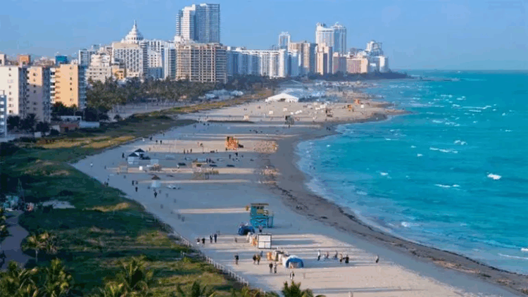 Alerta en EU por bacteria marina carnívora, cobra 4 vidas en playas de Florida