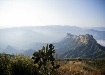 Plata Investment: Plataforma de inversión en metales preciosos mexicanos