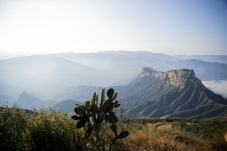 Plata Investment: Plataforma de inversión en metales preciosos mexicanos