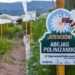 Syngenta transforma el campo mexicano con innovación regenerativa