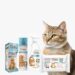 ¡Día Internacional del Gato! Celébralo creando una rutina de cuidado e higiene para tu michi