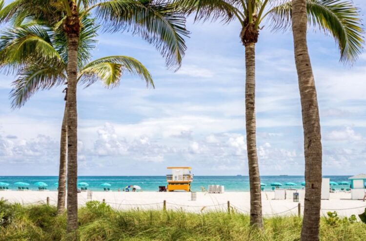 PayPal Pay Later: la fórmula que aumenta ventas de turismo internacional