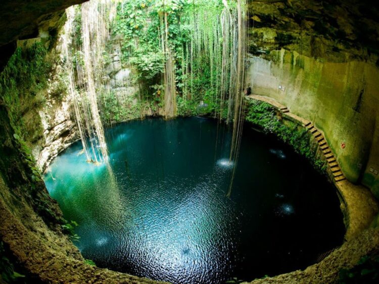 Cenotes sagrados de Yucatán: naturaleza viva de un legado maya