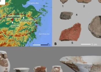 Por sabor, salud y economía, la cerveza de arroz podría regresar a los grandes mercados