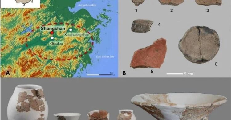 Por sabor, salud y economía, la cerveza de arroz podría regresar a los grandes mercados